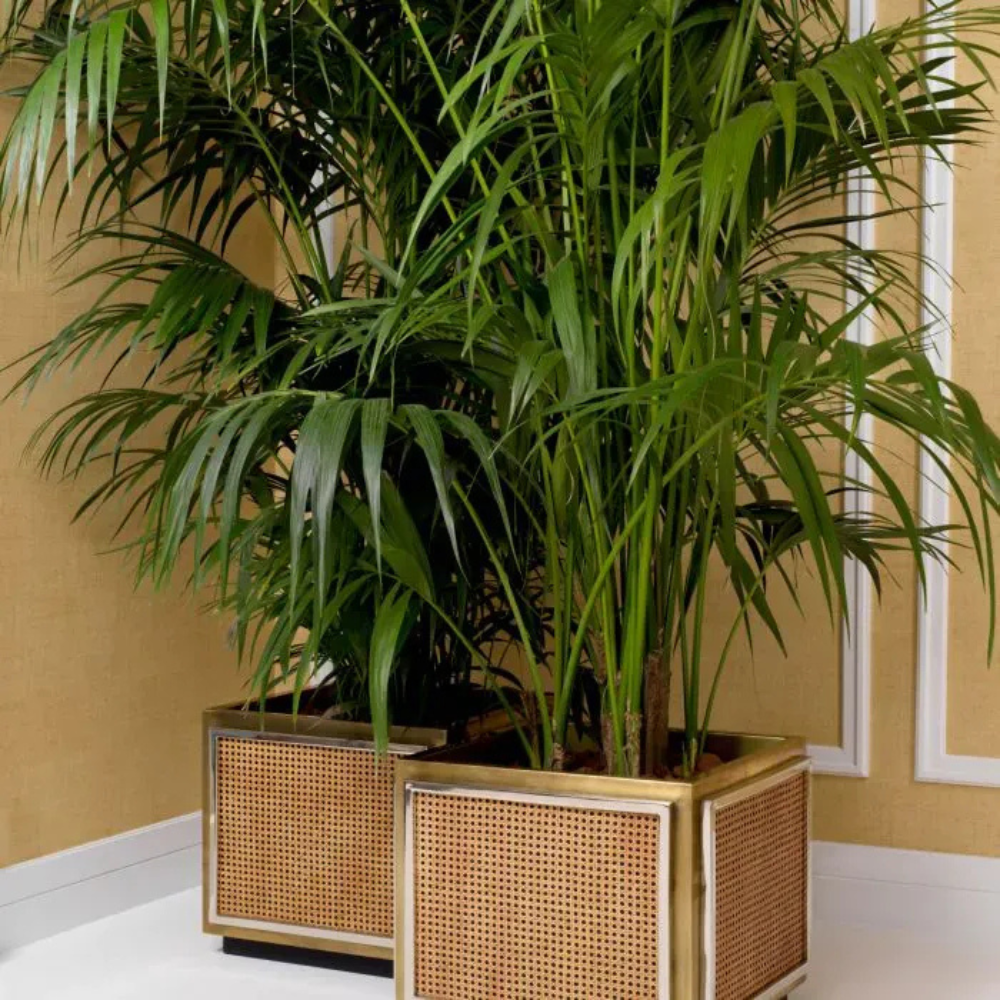 Eichholtz Planter Tropea Vintage brass finish | nickel finish | natural cane