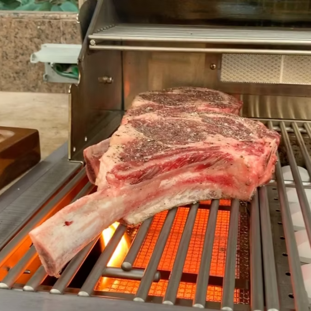 BBQ Grill Infrared Sear Zone Burner